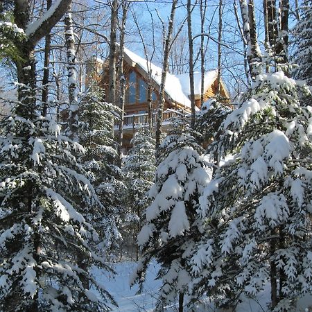 Blueberry Lake Resort Labelle Exterior foto